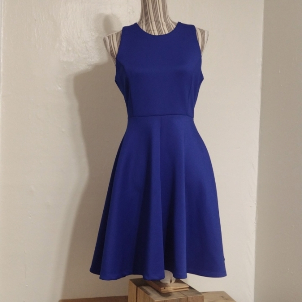 Milly Blue Fit & Flare Sleeveless Dress Exposed Goldtone Back Zip Size 8 - Picture 1 of 11